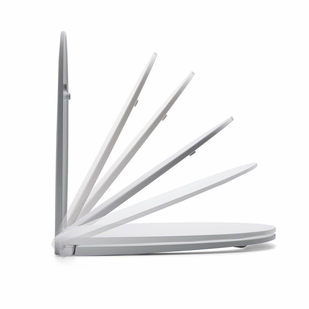 Ovale-0532.00 - immagine 2